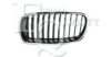 BMW 51137255412 Radiator Grille